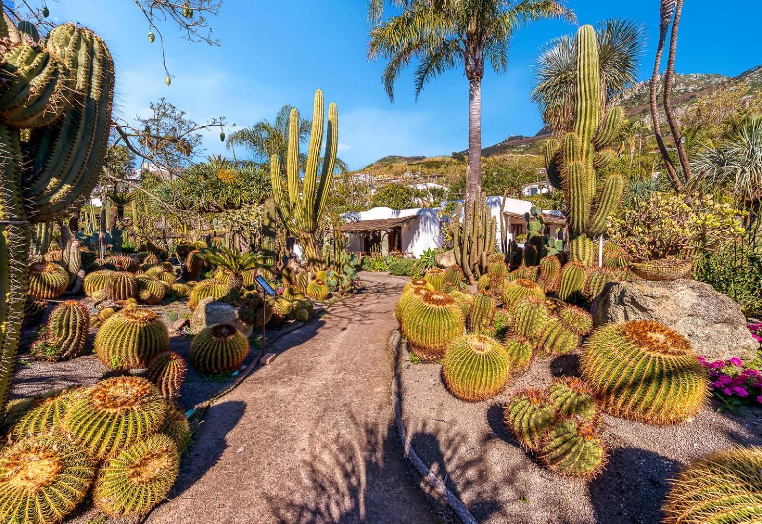 Villa Ravino Secret Retreat Forio  Екстер'єр фото